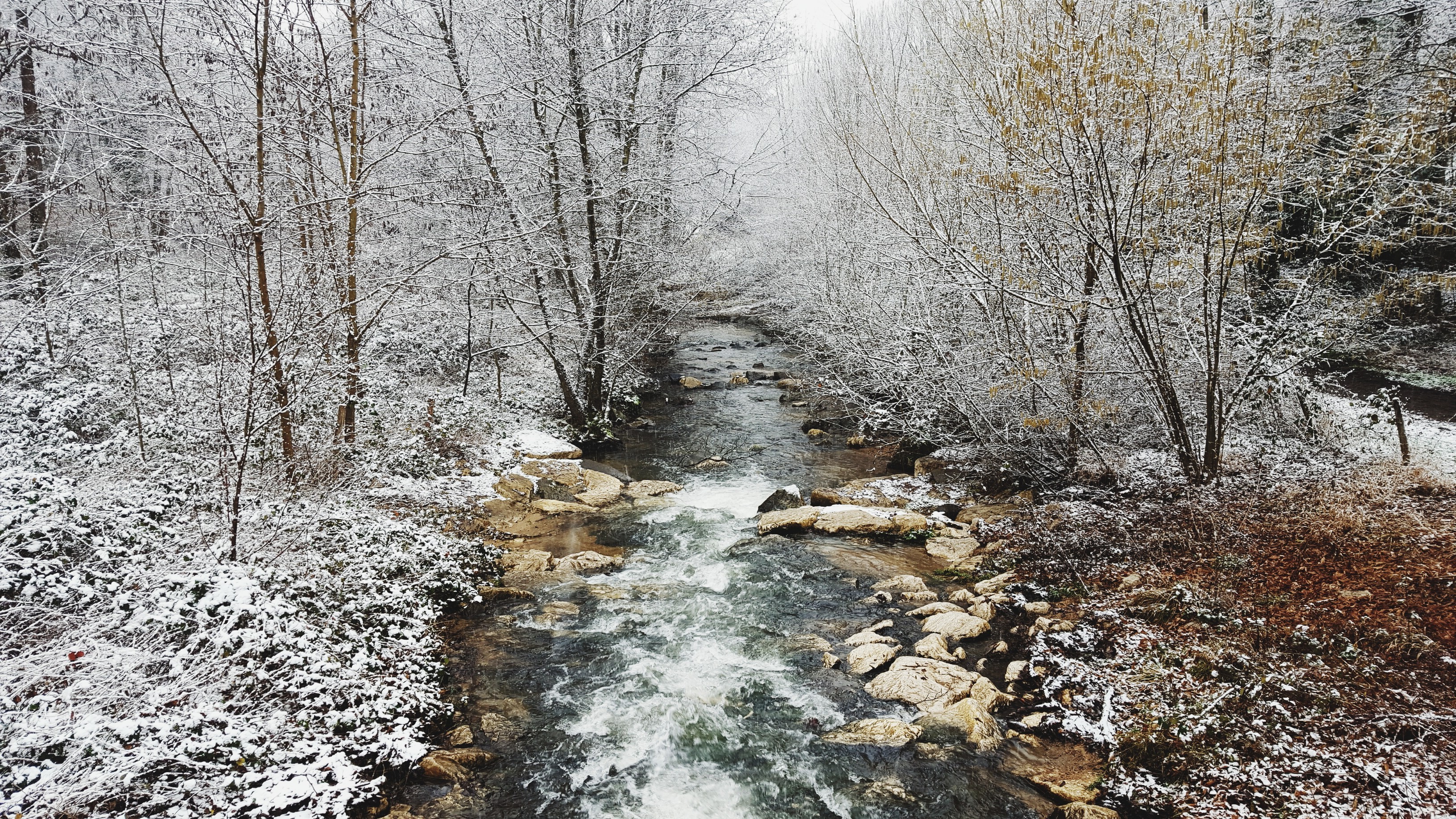 nature, Snow, Winter, Landscape, Forest, River, Trees, Photography Wallpaper