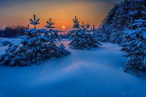 landscape, Snow, Winter, Trees, Nature, Sunset, Cold, Sea, Blue, Russia