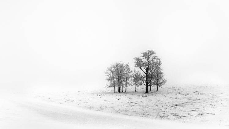 winter, Landscape, Ice, Snow, Trees HD Wallpaper Desktop Background