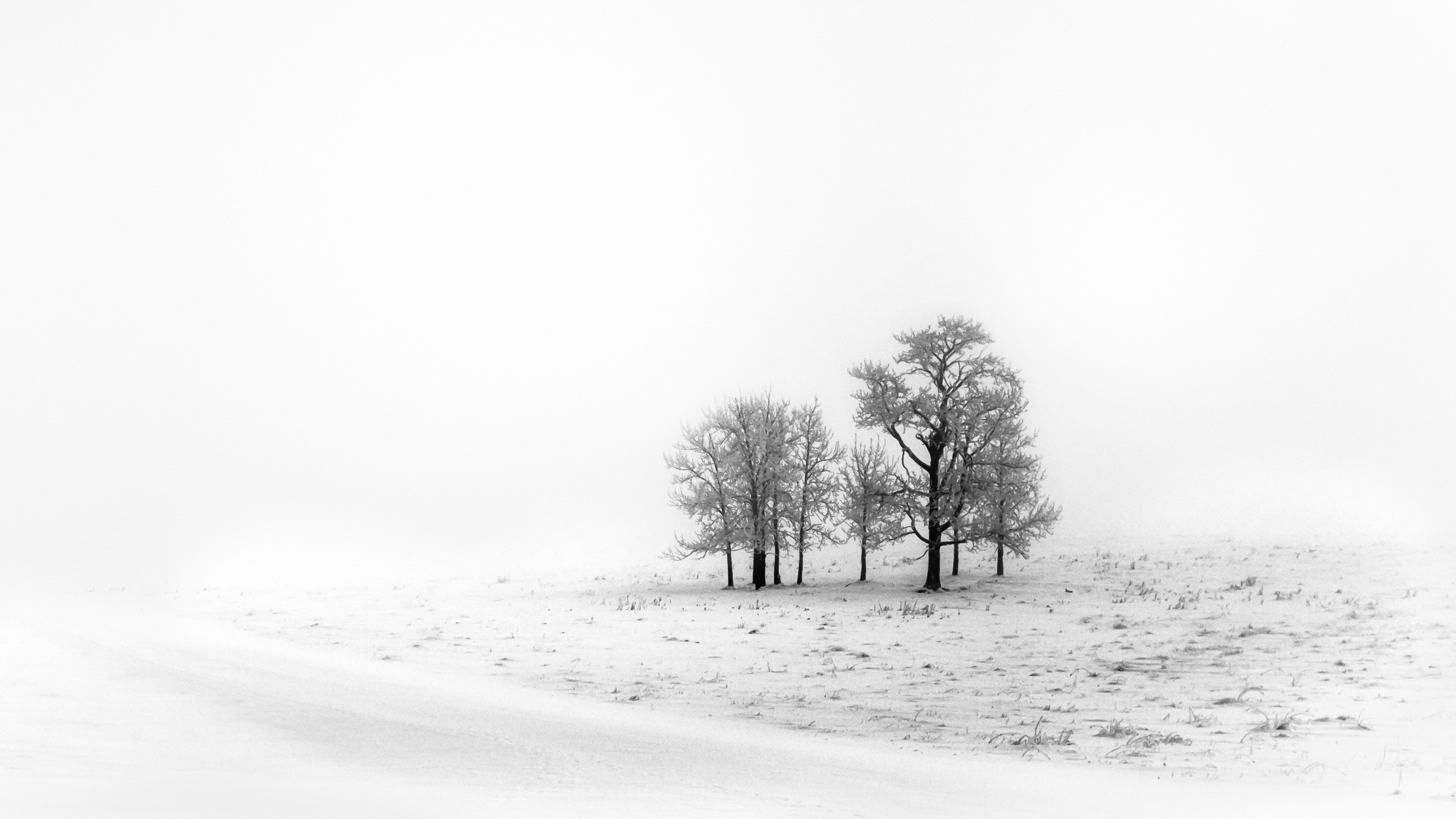 winter, Landscape, Ice, Snow, Trees Wallpaper