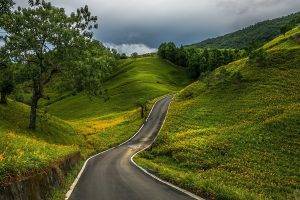 landscape, Road, Trees, Nature, Grass, Field, Hill, Forest, Clouds