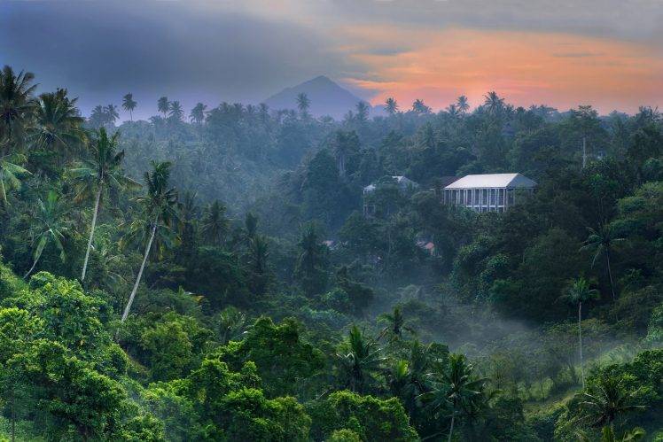 nature, Landscape, Tropical Forest, Sunrise, Jungles, Mountain, Mist, Palm Trees, Building, Sky, Bali, Indonesia HD Wallpaper Desktop Background