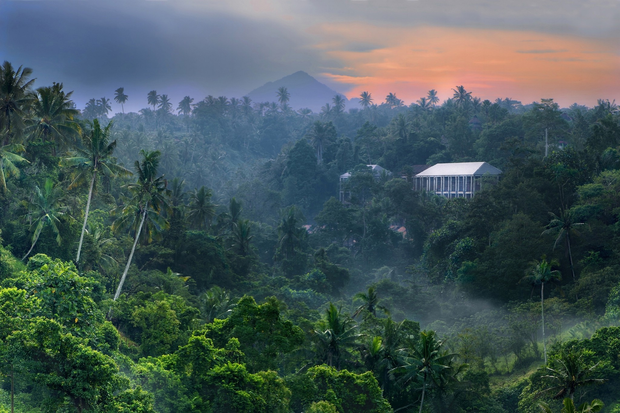 nature, Landscape, Tropical Forest, Sunrise, Jungles, Mountain, Mist, Palm Trees, Building, Sky, Bali, Indonesia Wallpaper