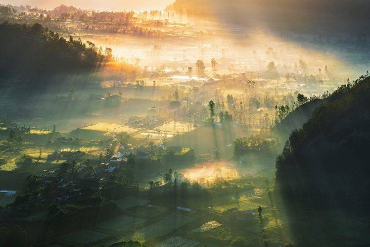 nature, Landscape, Valley, Village, Sunrise, Mist, Field, Trees, Sunlight, Hill, Indonesia HD Wallpaper Desktop Background