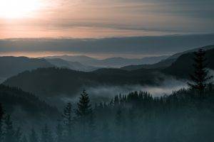 nature, Landscape, Trees, Forest, Pine Trees, Mountain, Norway, Mist, Sunrise, Hill, Clouds