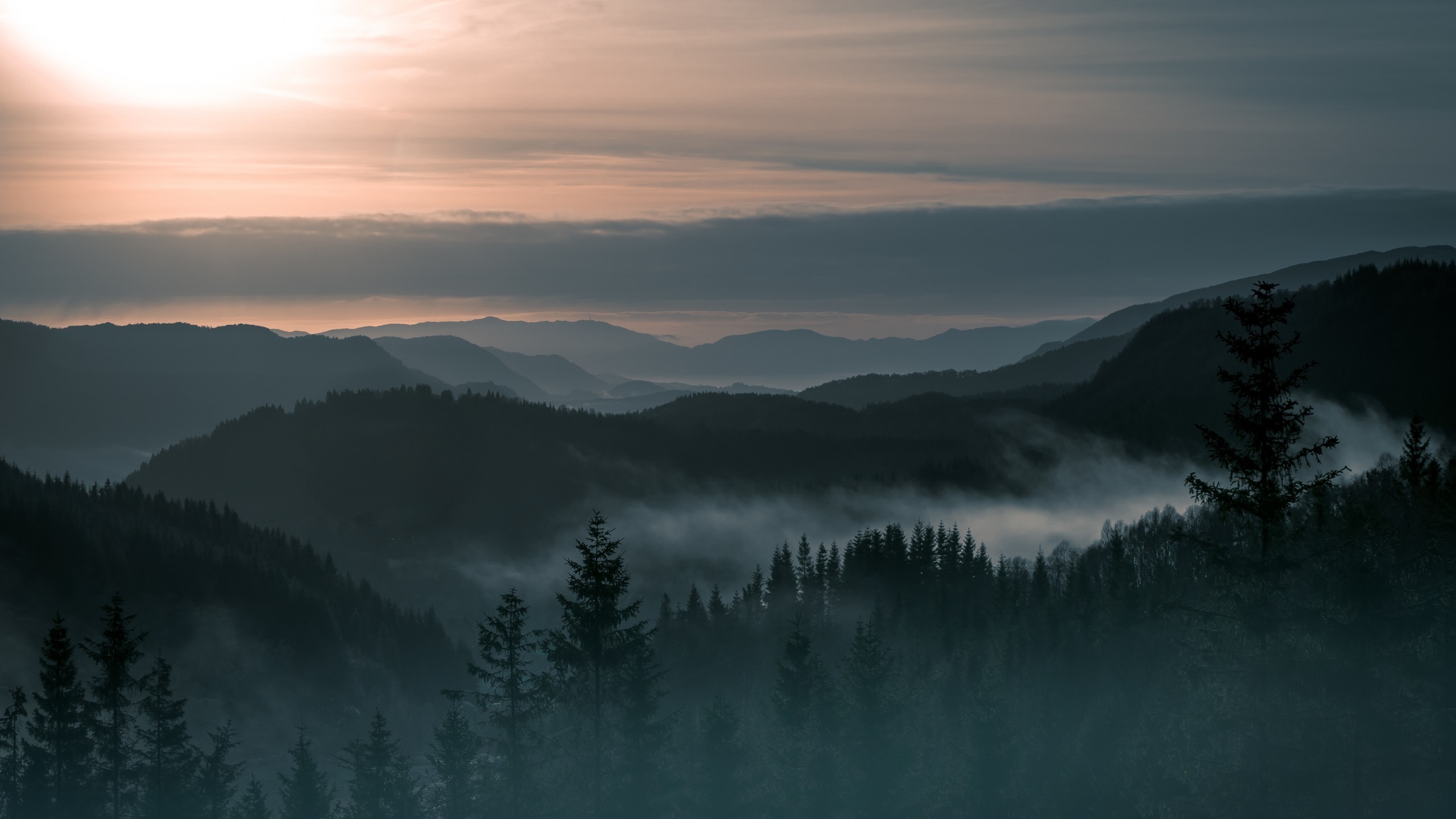 nature, Landscape, Trees, Forest, Pine Trees, Mountain, Norway, Mist, Sunrise, Hill, Clouds Wallpaper