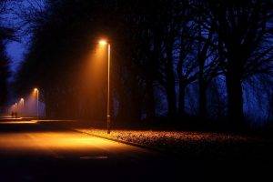 photography, Nature, Landscape, Night, Plants, Trees, Lights, Road