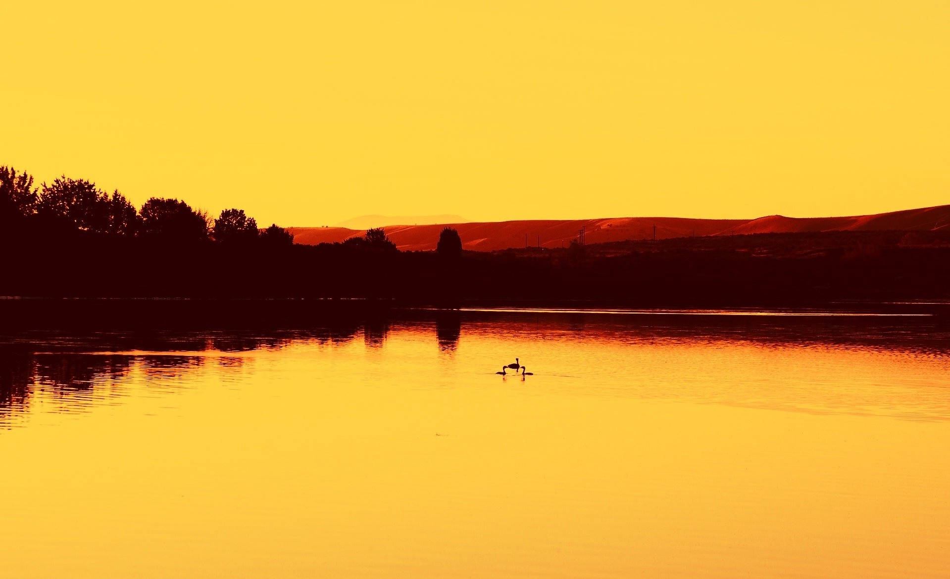 photography, Landscape, Water, Sunset, Orange, Trees, Lake Wallpaper