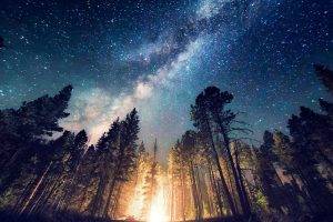long Exposure, Starry Night, Milky Way, Galaxy, Nature, Camping, Forest, Landscape, New Mexico, Lights, Trees