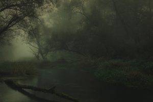 landscape, Nature, River, Forest, Dark, Sunrise, Mist, Shrubs, Trees, Atmosphere, Germany