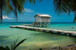 nature, Landscape, Beach, Tropical, Sea, Palm Trees, Dock, Wooden Surface, Cabin, Turquoise, Water, Belize