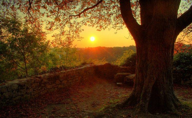 photography, Nature, Plants, Landscape, Trees, Fall, Sunset, Walls, Stones HD Wallpaper Desktop Background