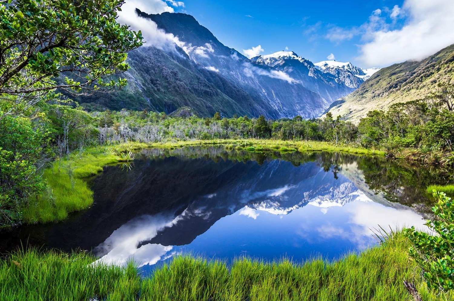 Nature Landscape Summer Lake Reflection Mountain Grass Forest Nature Landscape Summer Lake Reflection Mountain Grass Forest
