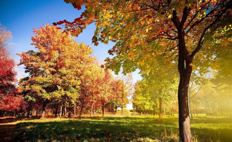 Công viên mùa thu với những hàng cây rực rỡ và những công viên xanh tươi cùng ánh nắng mùa thu là điềm đạm đến kỳ diệu. Hãy đón xem những hình ảnh đẹp mắt về công viên mùa thu, giúp cho bạn tận hưởng mùa thu thật tuyệt vời.
