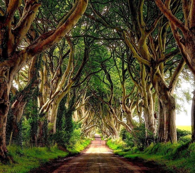 Hình nền máy tính Ireland với độ phân giải cao sẽ mang đến cho bạn trải nghiệm tựa như đang trực tiếp đứng trước phong cảnh thiên nhiên của Emerald Isle. Hãy chọn những bức hình này để tạo nên không gian sống và làm việc đầy cảm hứng và tràn đầy sức sống.