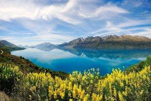 nature, Landscape, Lake, Yellow, Wildflowers, Turquoise, Water, Reflection, Mountain, Clouds, Spring, New Zealand