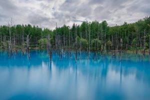 nature, Lake, Reflection, Landscape, Forest