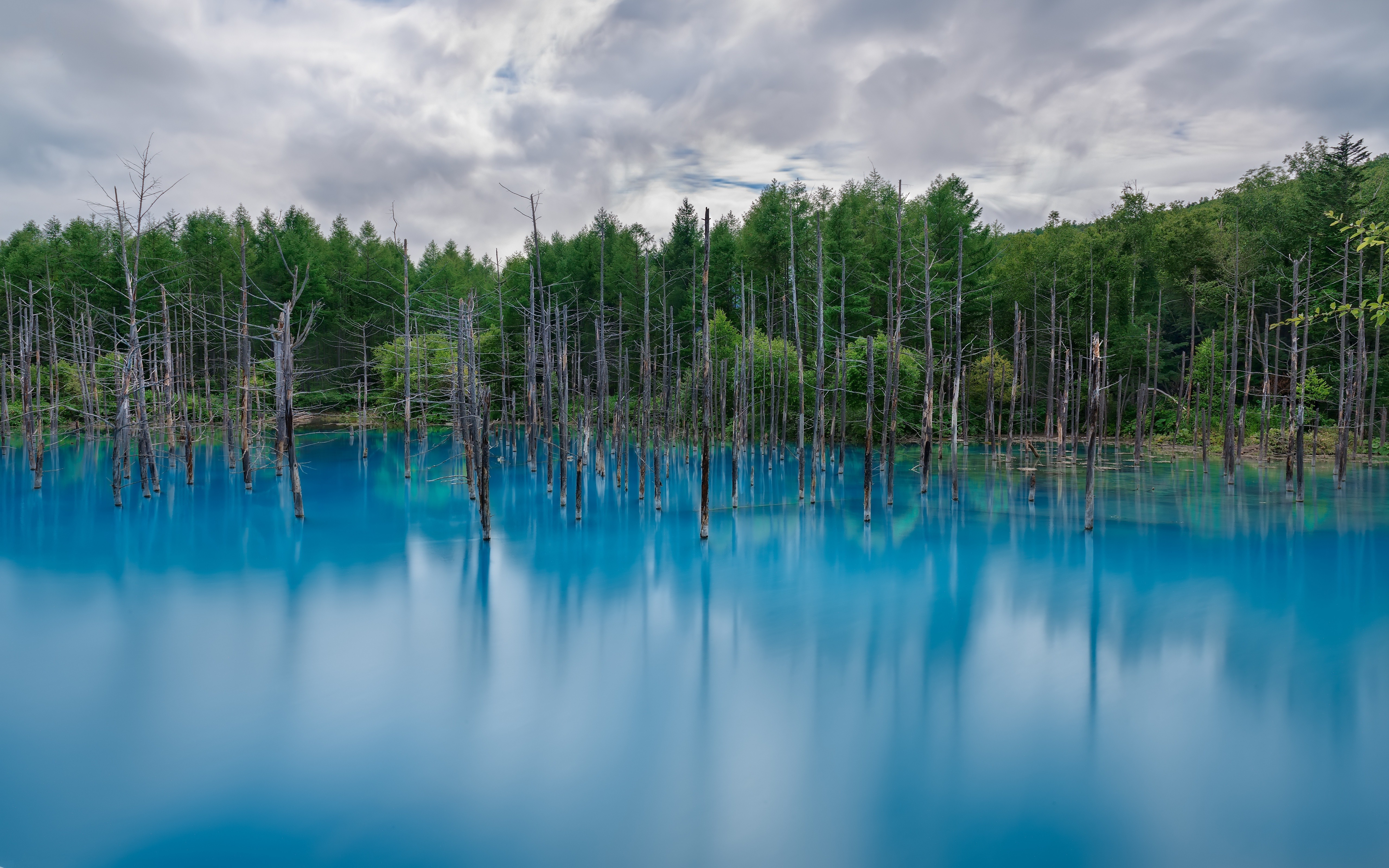 nature, Lake, Reflection, Landscape, Forest Wallpaper
