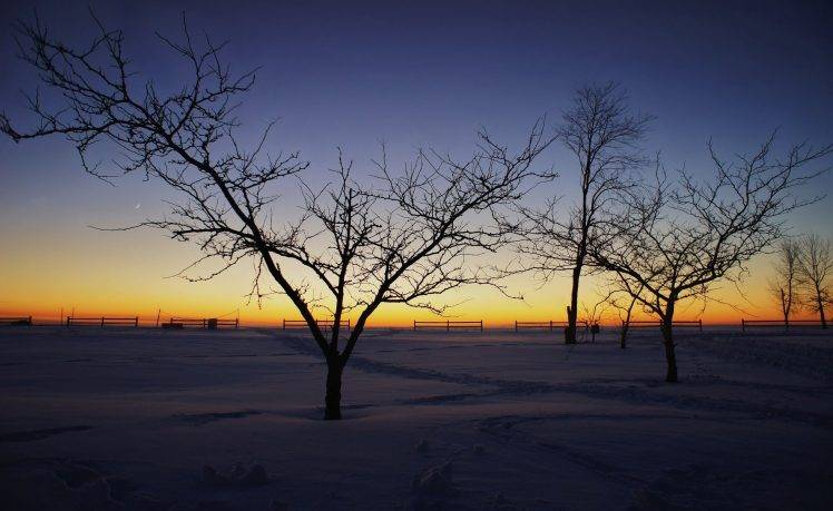 photography, Winter, Snow, Landscape, Trees, Nature, Sunrise HD Wallpaper Desktop Background