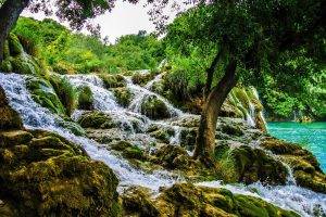 waterfall, Trees, Water, Landscape, Nature