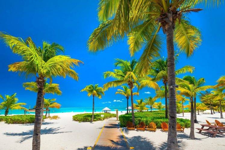 nature, Landscape, Tropical, Beach, Palm Trees, Sea, Caribbean, Walkway, White, Sand, Chair, Blue, Sky, Turks & Caicos HD Wallpaper Desktop Background