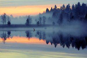 nature, Landscape, Mist, Sunrise, Lake, Forest, Reflection, Blue, Trees