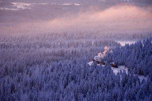 nature, Landscape, Winter, Forest, Mist, Train, Smoke, Trees, Cold, Snow, Railway, Germany