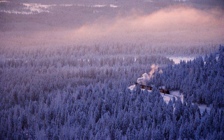 nature, Landscape, Winter, Forest, Mist, Train, Smoke, Trees, Cold, Snow, Railway, Germany HD Wallpaper Desktop Background