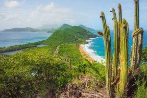 nature, Landscape, Beach, Cactus, Hill, Sea, Caribbean, Island, Summer, Road, Shrubs, Tropical, Green
