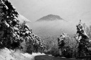 photography, Nature, Landscape, Winter, Trees, Road, Snow, Mountain, Mist