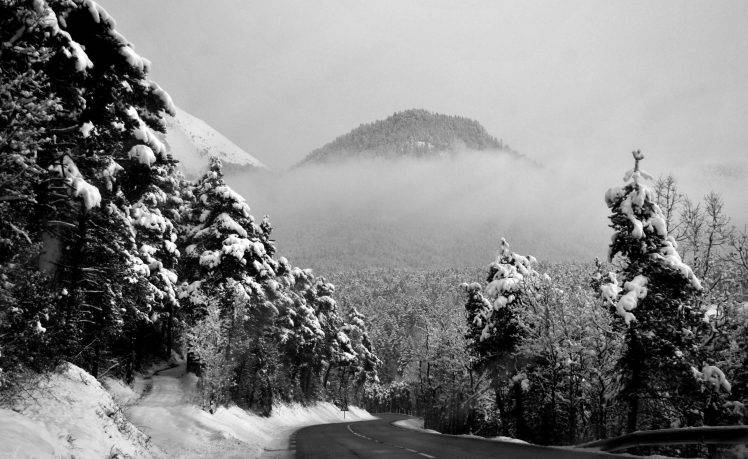 photography, Nature, Landscape, Winter, Trees, Road, Snow, Mountain, Mist HD Wallpaper Desktop Background