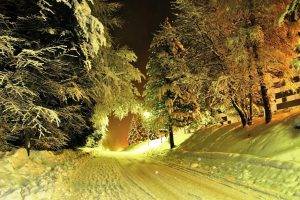 photography, Nature, Landscape, Winter, Trees, Night, Lights, Road, Snow