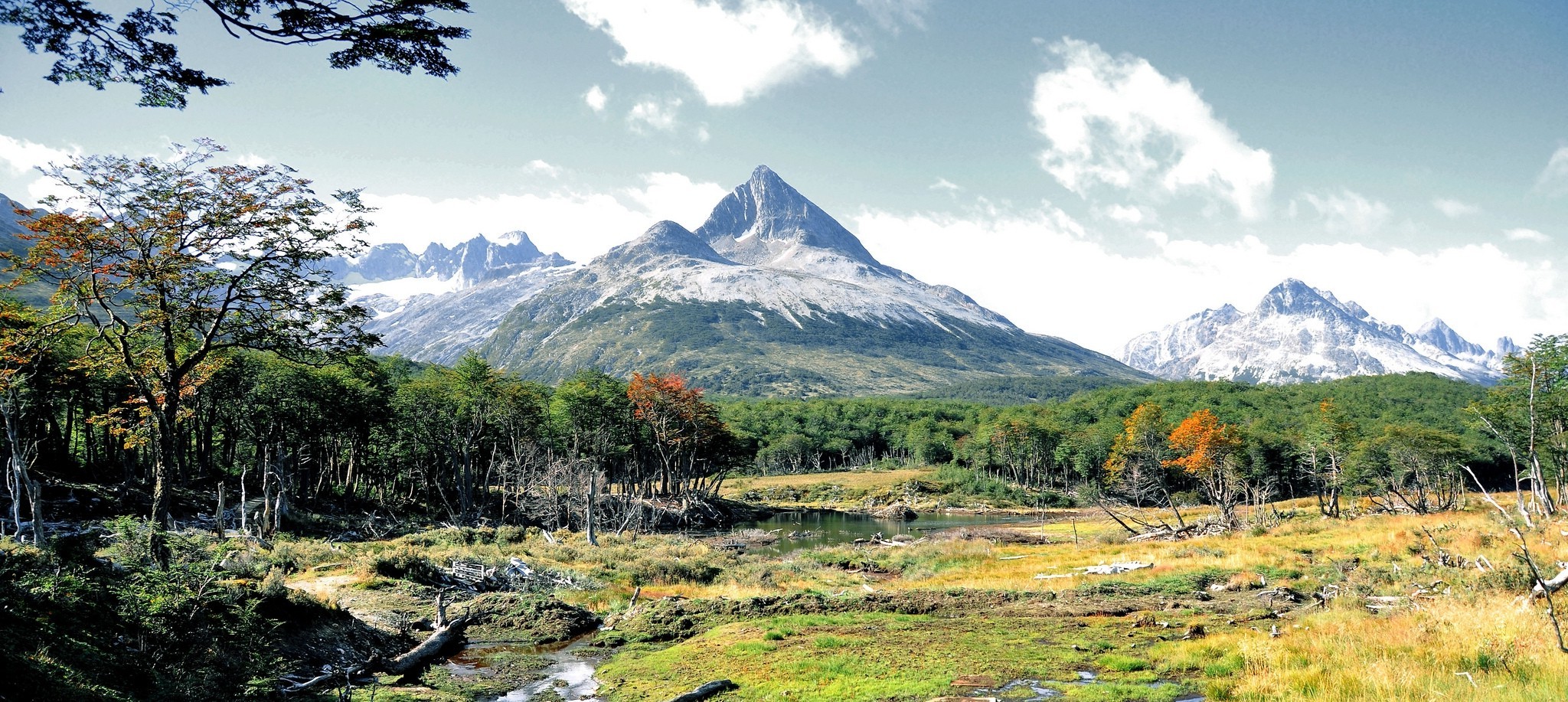 nature, Landscape, Panoramas, Mountain, Forest, Creeks, Grass, Patagonia, Tierra Del Fuego, Argentina Wallpaper