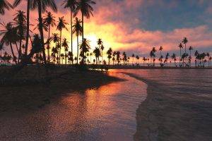 nature, Landscape, Tropical, Beach, Sunset, Palm Trees, Sea, Clouds, Sky, Sand