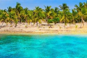 nature, Beach, Tropical, Sea, Palm Trees, Sand, Turquoise, Water, Landscape, Summer, Mexico
