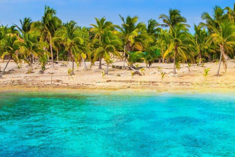 nature, Beach, Tropical, Sea, Palm Trees, Sand, Turquoise, Water, Landscape, Summer, Mexico HD Wallpaper Desktop Background