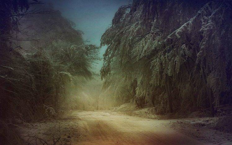 mist, Nature, Landscape, Trees, Winter, Dirt Road, Snow, Frost, Cold HD Wallpaper Desktop Background