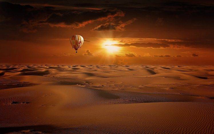 desert, Landscape, Hot Air Balloons, Flamingos HD Wallpaper Desktop Background