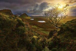 landscape, Nature, Sunrise, Valley, Shrubs, Wildflowers, Clouds, Pond, Hill, Grass, Scotland