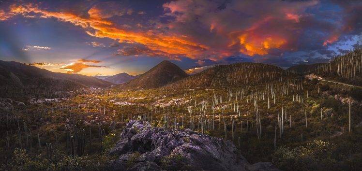nature, Landscape, Sunset, Desert, Valley, Hill, Clouds, Sky, Sunlight, Cactus, Shrubs, Mexico HD Wallpaper Desktop Background