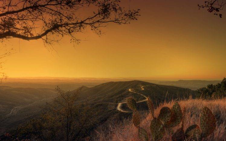 photography, Sunset, Landscape, Nature, Trees, Plants, Hill HD Wallpaper Desktop Background