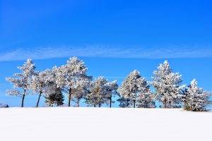 landscape, Winter, Seasons, Trees, Snow