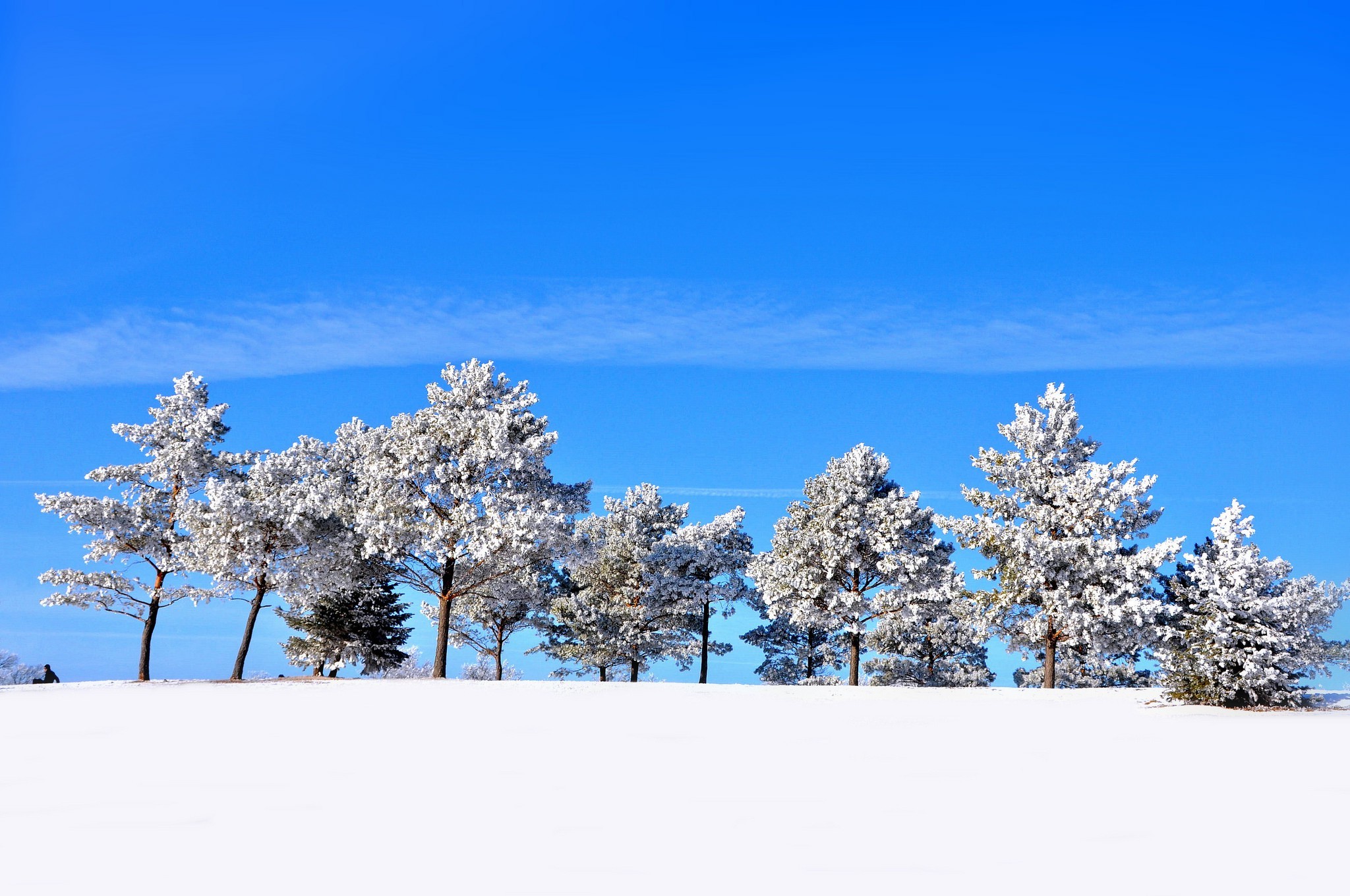 landscape, Winter, Seasons, Trees, Snow Wallpaper