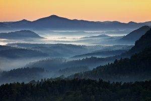 nature, Landscape, Mist, Mountain, Forest, Sunrise, Blue, Czech Republic