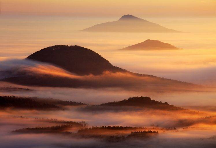 nature, Landscape, Mist, Mountain, Forest, Sunrise, Sunlight HD Wallpaper Desktop Background