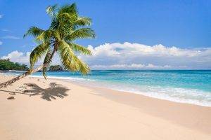 nature, Landscape, Tropical, Island, Beach, Palm Trees, Sea, Sand, Clouds, Summer, Madagascar