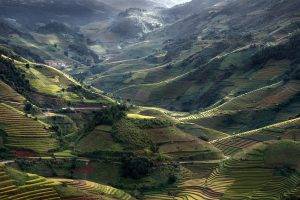 nature, Landscape, Mountain, Field, Terraces, Sunlight, Road, Trees, Village, Green, Vietnam, Rice Paddy