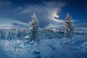 landscape, Nature, Forest, Winter, Snow, Cold, Sun, Clouds, Trees, Czech Republic