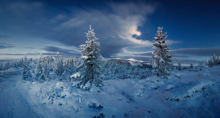 landscape, Nature, Forest, Winter, Snow, Cold, Sun, Clouds, Trees, Czech Republic HD Wallpaper Desktop Background