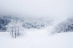 landscape, Winter, Snow